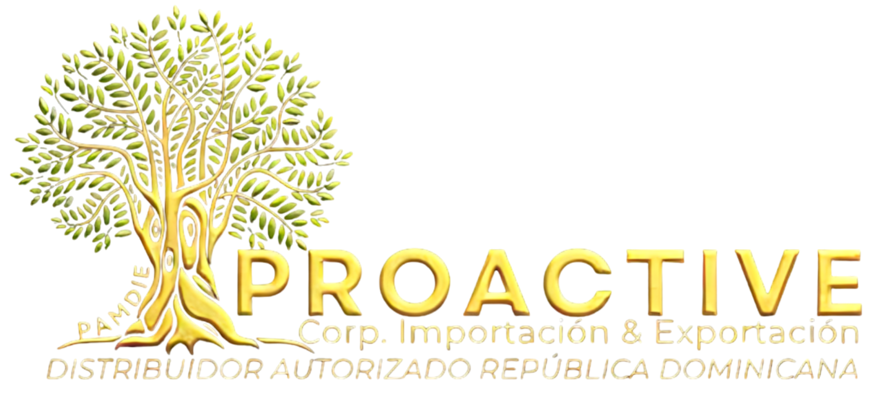 Proactive Corp